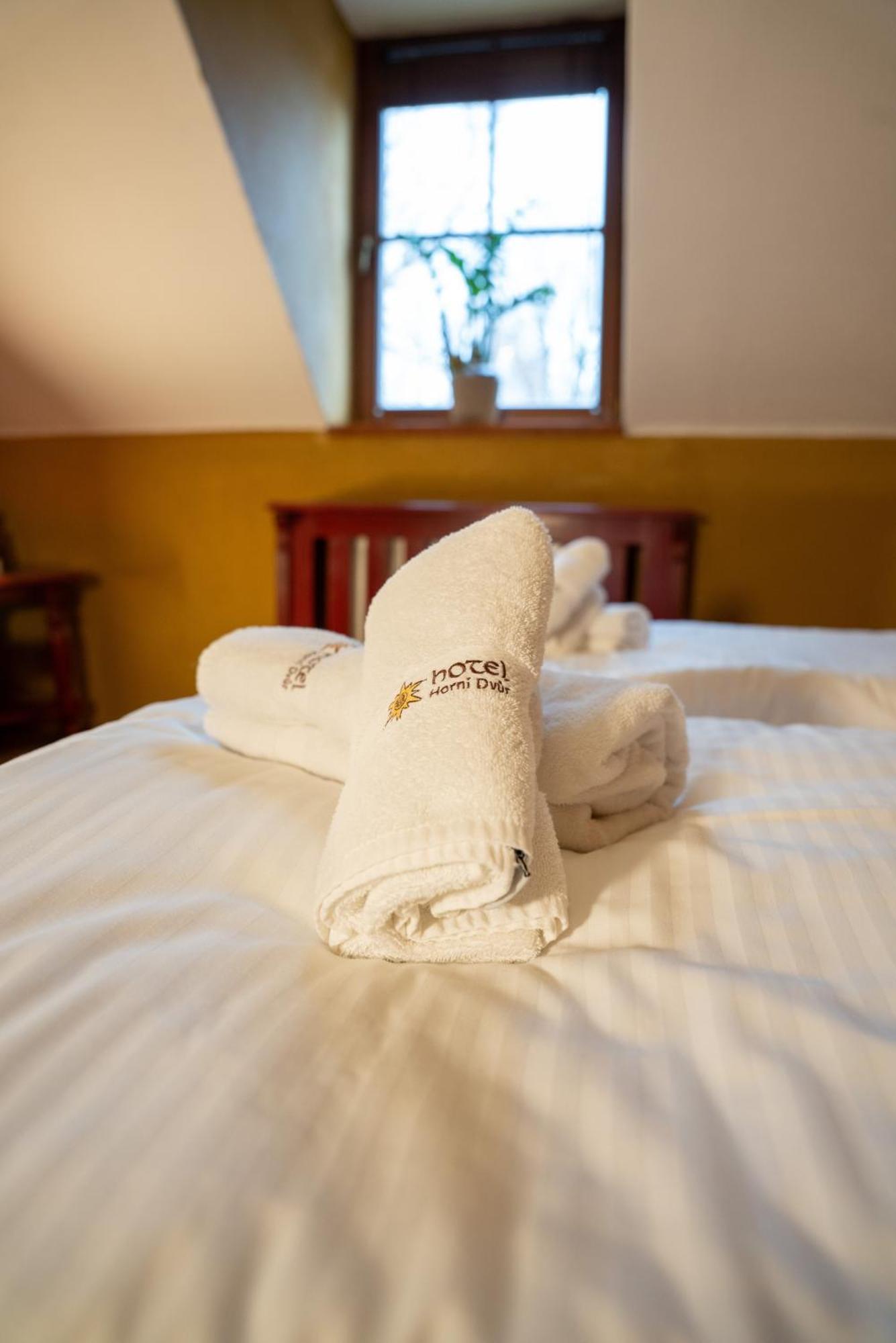 Hotel Horni Dvur Nove Mesto na Morave Kültér fotó